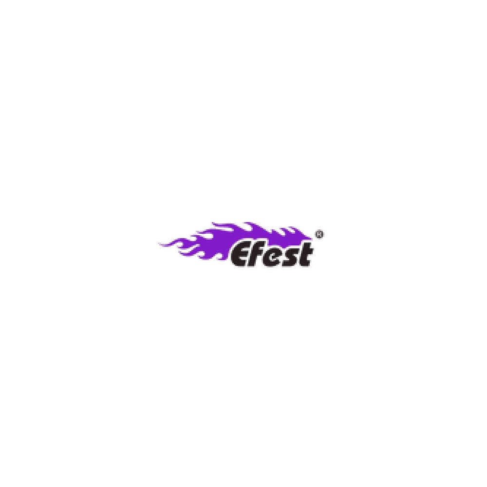 Efest Logo