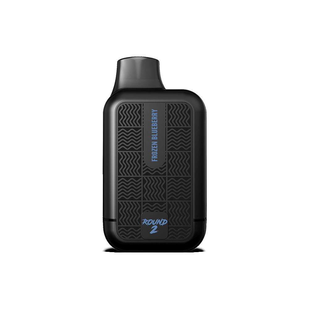 Tyson 2.0 Round-2 Heavy Weight Disposable